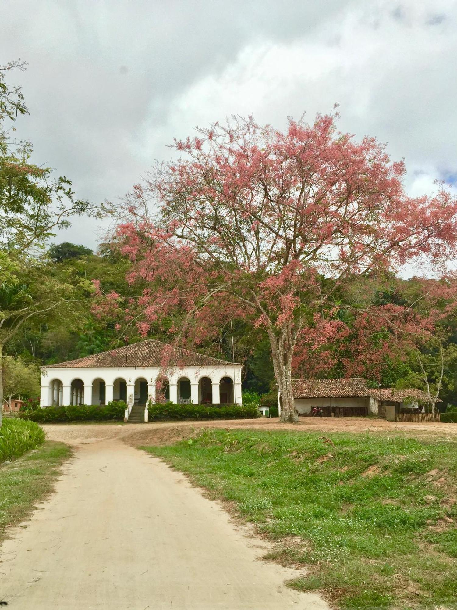 Chalé Suíço - Chalés Belo Monte - Sítio Belo Monte Pacoti Esterno foto