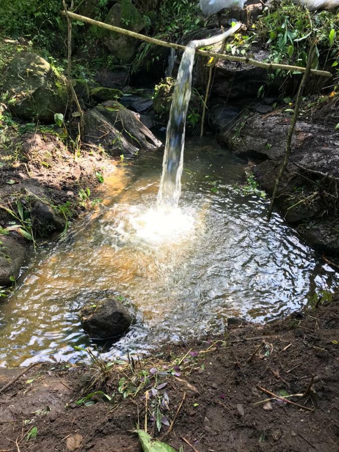 Chalé Suíço - Chalés Belo Monte - Sítio Belo Monte Pacoti Esterno foto